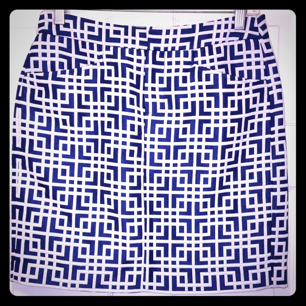 NWOT Blue & White Loft Skirt